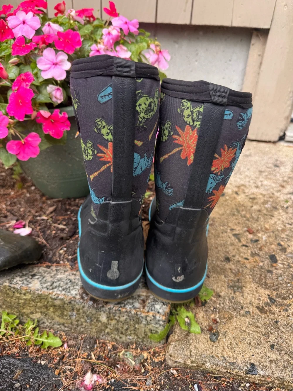 Bogs dinosaur print boots size 3-4  Black Boots